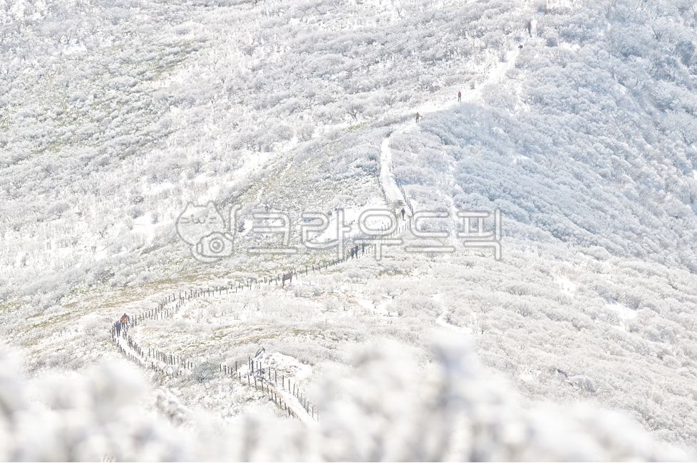 겨울,눈,겨울풍경,덕유산,설경,겨울산,흰눈,자연,풍경,한국,대한민국,상고대,눈꽃,겨울,계절,winter,season