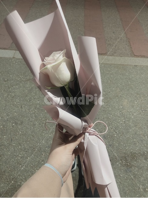 꽃,축하,장미,생일,다발