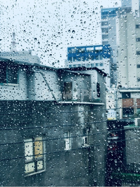 빗,빗방울,유리,창문,카페