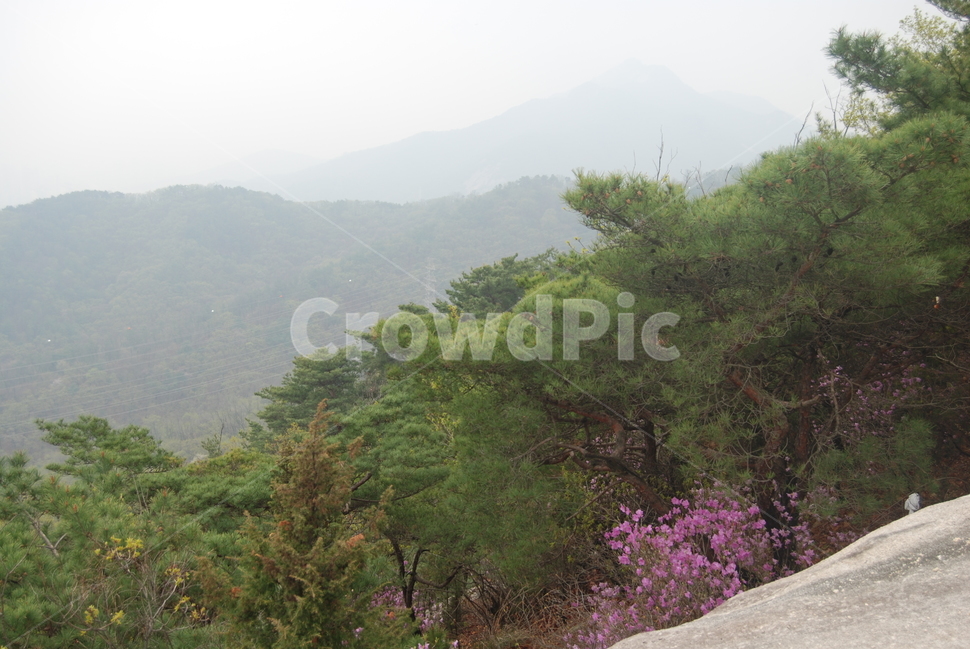 바위,rock,봄,spring,산,자연,자연,풍경,nature,landscape,outdoors,옥외