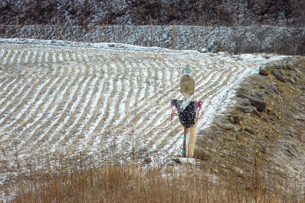 scarecrow,field,winter,koreanculture,nature,허수아비,들판,겨울,한국의문화,자연