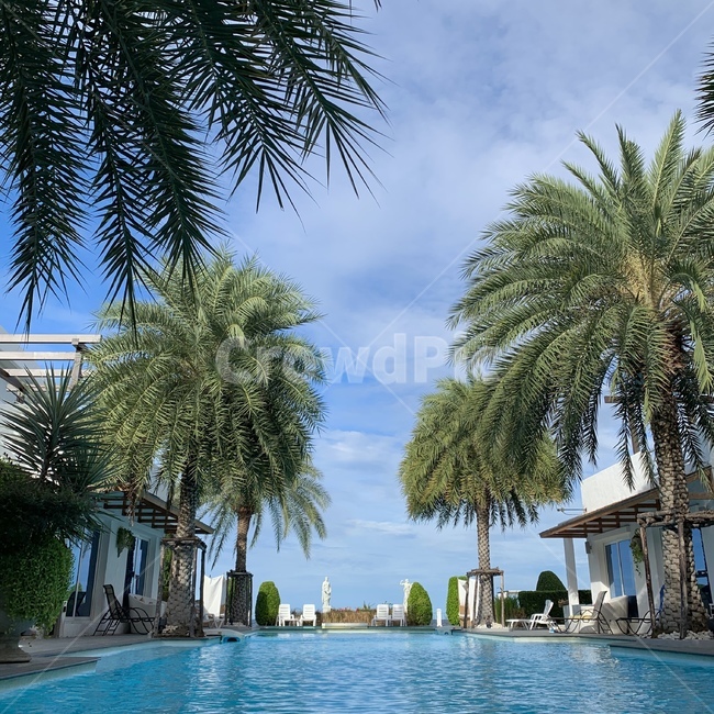 arecaceae,야자수,야자나무,palm,tree,palmtree,하늘,구름,태국,후아힌,수영장,리조트,호텔,pool,swimmingpool,thailand,huahin,sky,cloud,여름,계절,summer,season,building,건물,hotel
