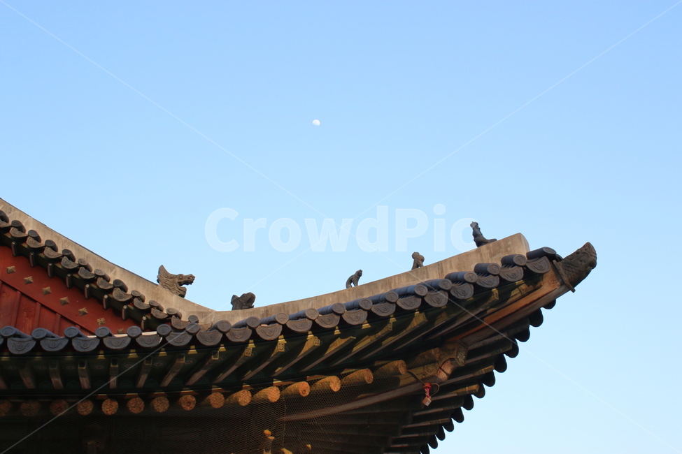 경복궁,한국전통,전통건축,한국문화,궁궐,관광지,한국랜드마크,궁,문화재,koreanculture,koreantraditional,korealandmark,한국,오색,단청,어처구니,전통지붕