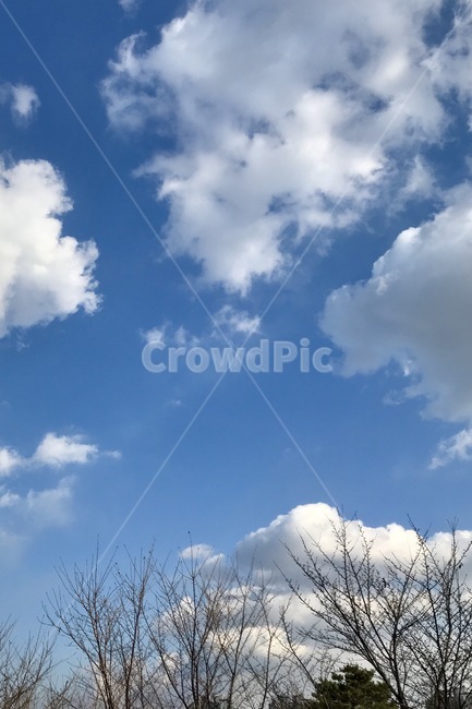 nature,자연,푸른하늘,sky,구름,옥외