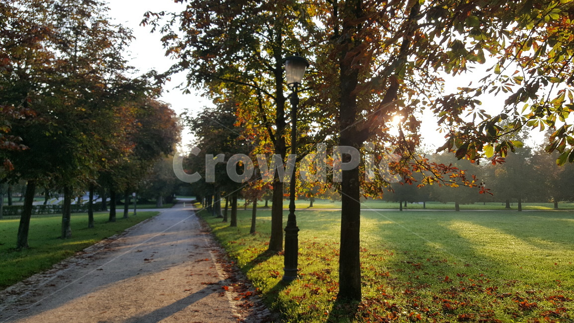 park,공원,가을,autumn,fall,가을,계절,fall,autumn,season,tree,나무,plant,식물,tree trunk,나무 줄기