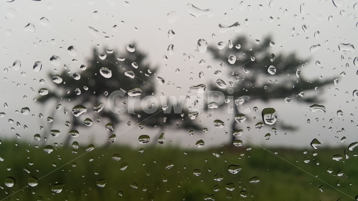 droplet,작은물방울,차창,비,풍경,비,비오는날,rain,rainy
