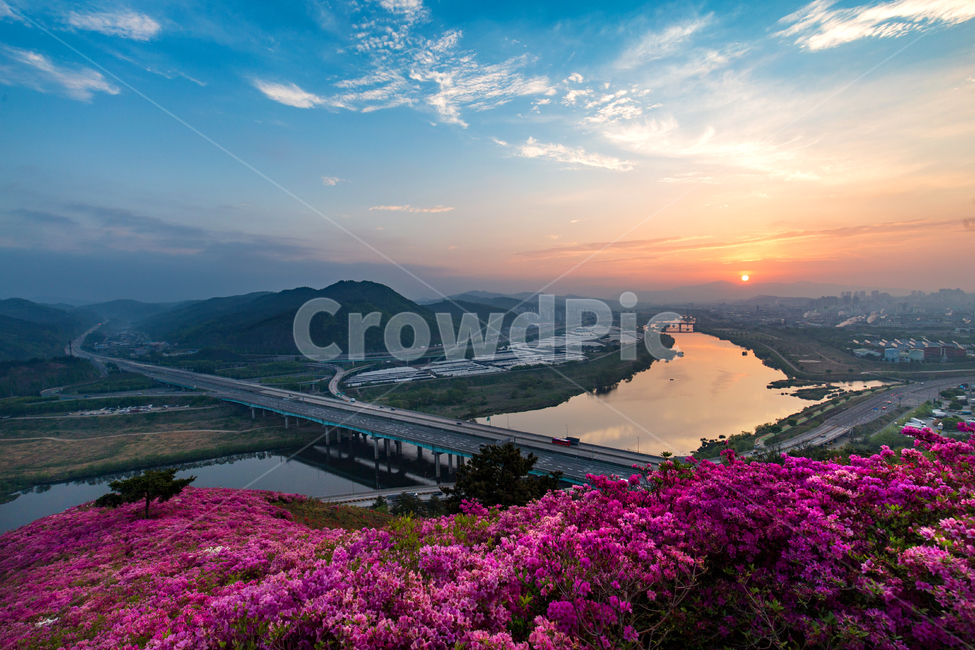 진달래,일출,풍경,해,아침,자연,landscape,azalea,산,풍경배경,배경,꽃배경,일출배경,자연,풍경,nature,landscape