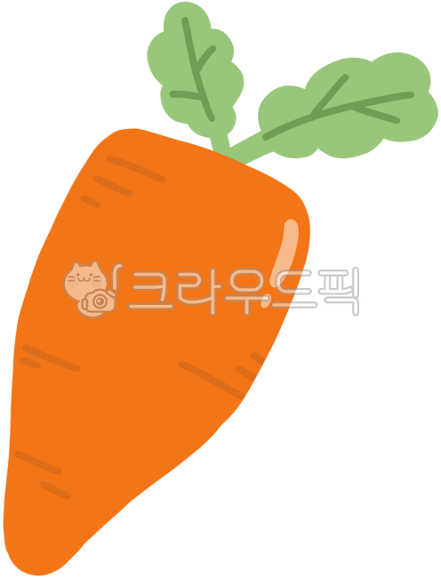 Dirt carrots,carrot roots,carrot dishes,carrot ingredients,food carrots,red carrots,summer carrots,carrot hand drawings,carrot vegetables,carrot vegetables,root vegetable carrots,vegetable carrots,carrot illustrations,vegetable carrots,food 