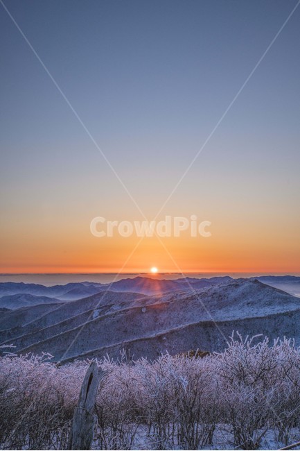 태백산,상고대,일출,아침,겨울,눈꽃,산,겨울,계절,winter,season,자연,풍경,nature,landscape,outdoors,옥외,light,빛,flare,플레어,sunlight,햇빛,sky,하늘,dusk,황혼,red sky,붉은 하늘,sunset,일몰,dawn,새벽