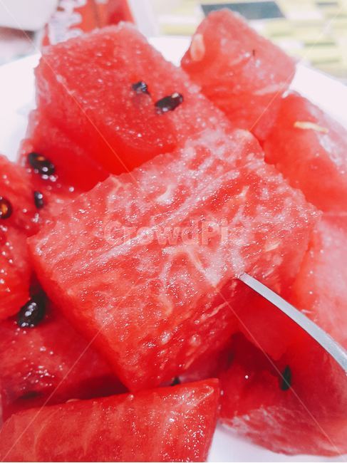 여름,수박,여름과일,summerfruit,watermelon