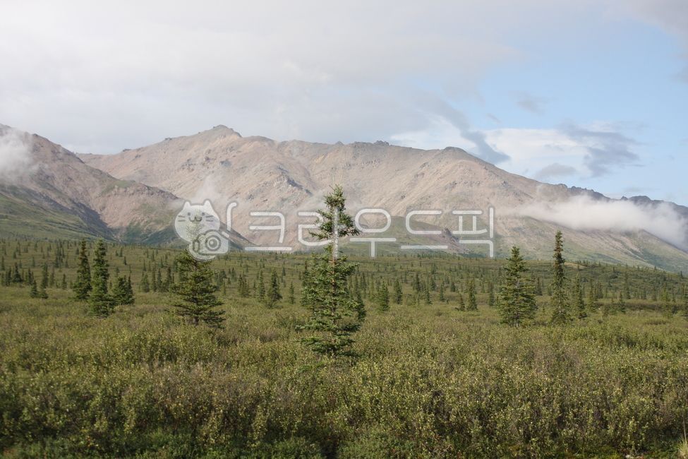 cloud,tundra,mountain,Denali National Park,nature,trekking,alaska,sight,Alaska,denalinationalpark