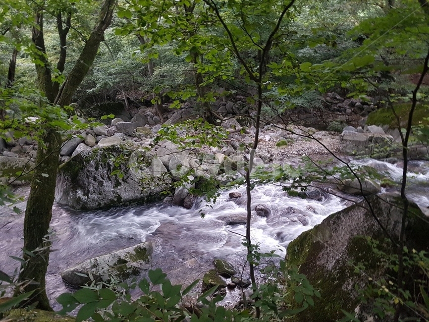 water,물,nature,자연,흐름,자연,풍경,nature,landscape,outdoors,옥외,creek,작은 만,stream