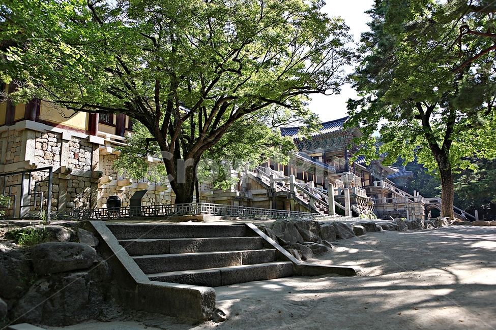 불국사,경주,절,사찰,국보,보물,전통,기와집,집,한옥