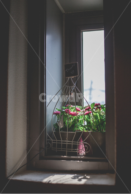 꽃,햇살,화분,창문,초록,자주,공간,감성,sensible,feeling,인테리어,실내디자인,interior design