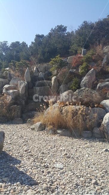 돌,바위,나무,자갈,nature,자연