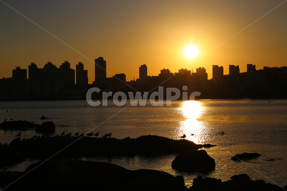 노을,광안리,바다,풍경,갈매기,도시,풍경,city,landscape,실루엣,그림자,silhouette,shadow,flare,플레어,light,빛,sunlight,햇빛