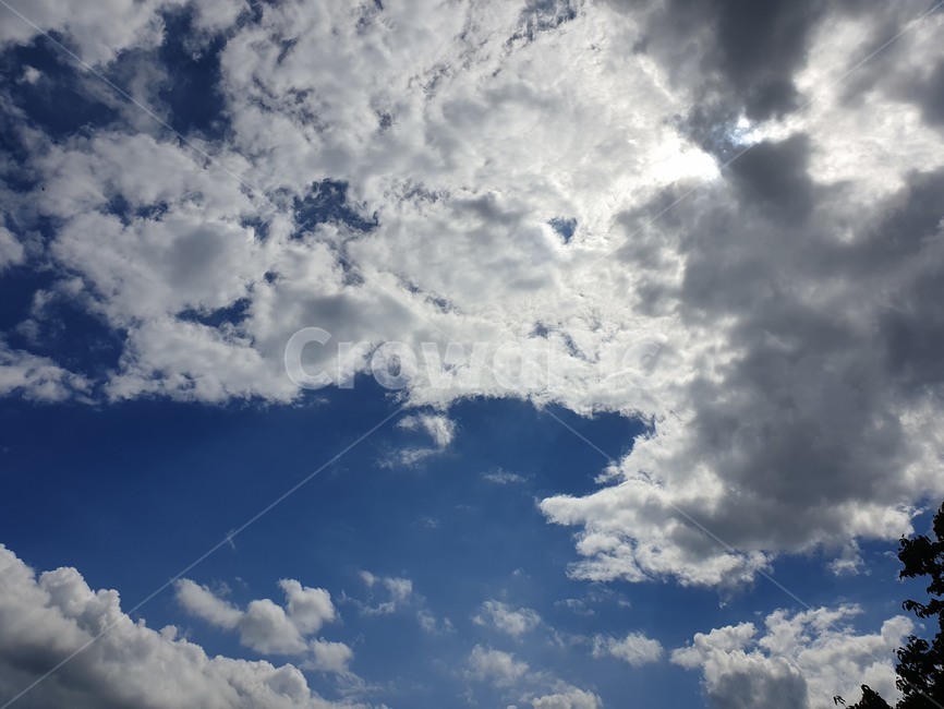 하늘,구름,sky,파랑,여름하늘,쾌청,상쾌,풍경,landscape,nature