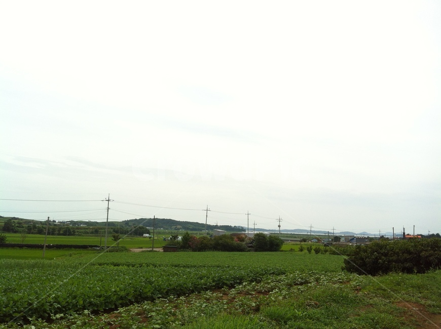 들판,시골,풍경,농촌,밭,하늘,산업,industry,industrial,농업,농사,agriculture,farming,farming industry
