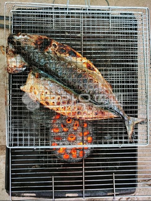 Charcoal grill,Grilled Fish,food,mackerel,bbq,BBQ,Briquette grilling,grilling,cooking,Grilled Mackerel