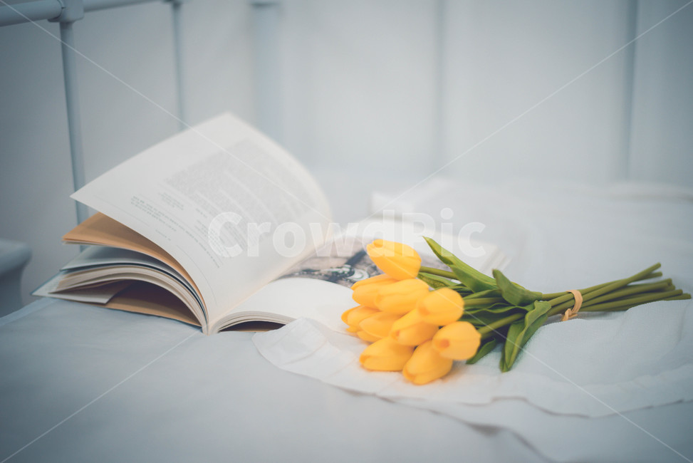 book,책,꽃,플라워,flower,식물,자연,plants,nature,꽃,flower