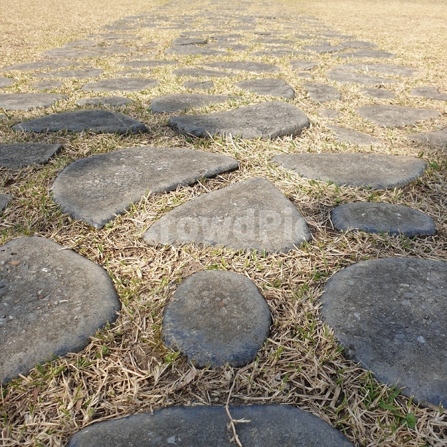 바닥,ground,path,walkway,pattern