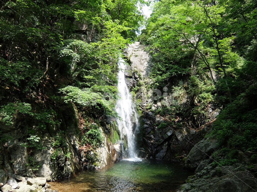 무릉계곡,용추폭포,풍경,여름,강원도
