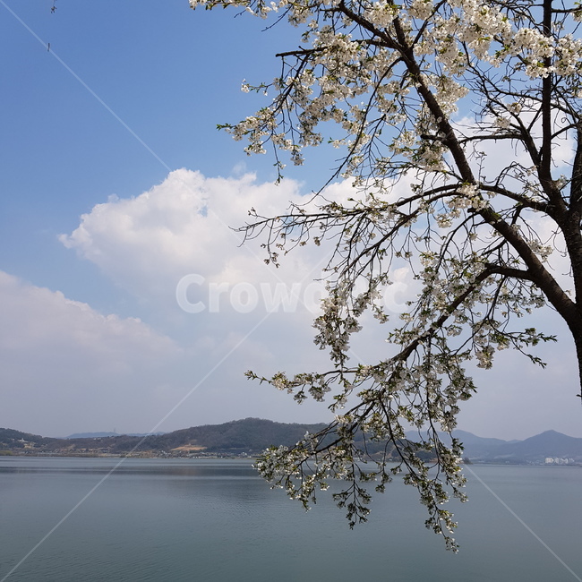 자연,호수,하늘,풍경,구름