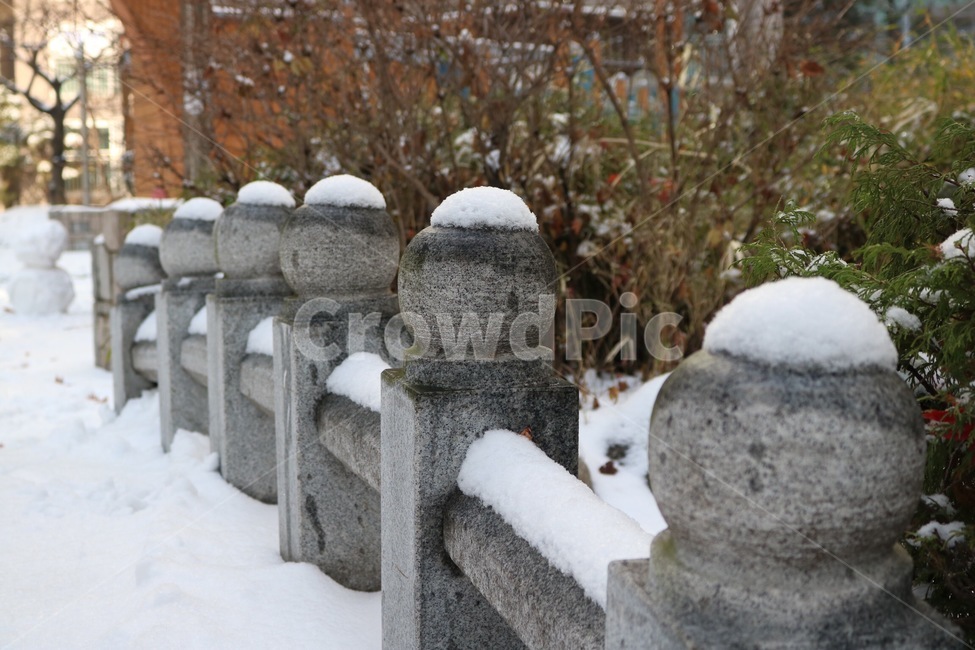 눈,겨울,자연,흰색,나무,식물,초록,snow,yuki,winter,huyu,nature,white,shiro,tree,ki,plants,shokubutsu,green,midori,돌,stone,ishi