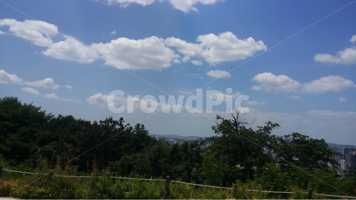 구름,맑은날,공기,숲,휴식,여름,더위,자연,풍경,nature,landscape,weather,날씨,outdoors,옥외,cloud,cumulus,적운,sky,하늘
