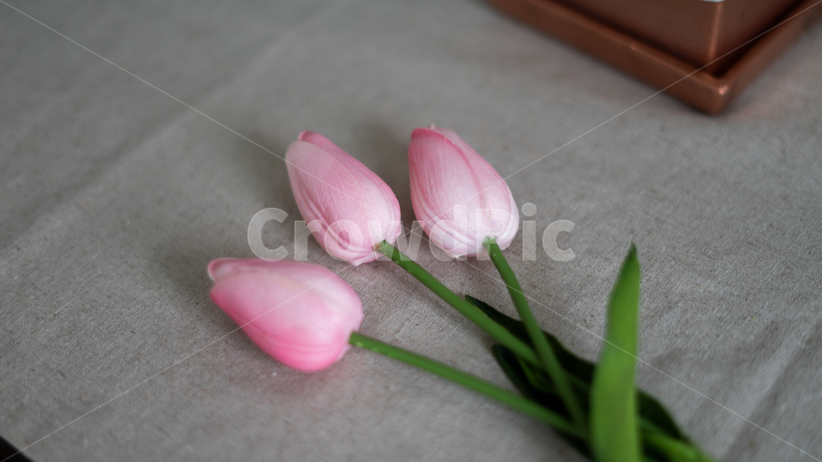 튤립,조화,조화튤립,꽃,분홍,flower,분홍튤립,pink