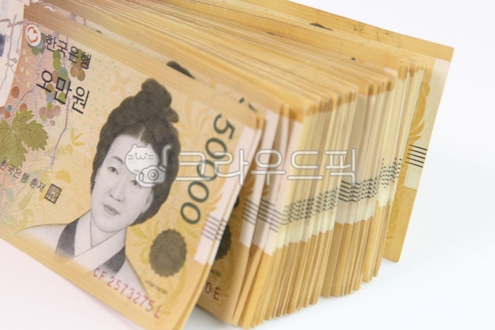 오만원,돈뭉치,돈다발,현금,지폐