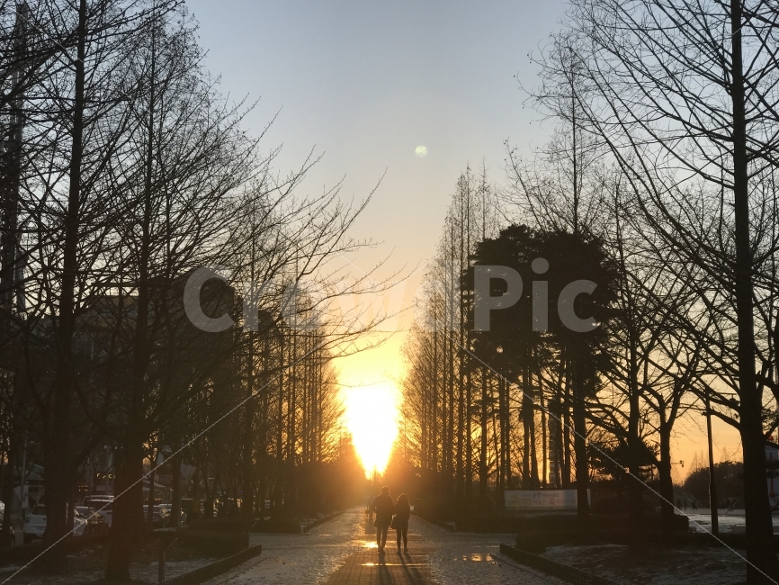 겨울,역광,풍경,연인,감성사진,자연풍경,초겨울,달,도시풍경,사람,휴식,자연,풍경,nature,landscape,sunlight,햇빛,flare,플레어,light,빛,outdoors,옥외,sky,하늘,sunset,일몰,dawn,새벽,red sky,붉은 하늘,dusk,황혼