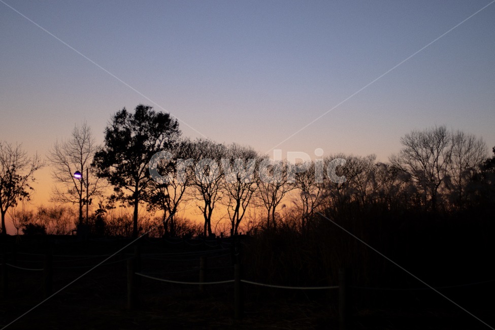 공원,노을,어스름,나무,야경,자연,풍경,nature,landscape,outdoors,옥외,silhouette,실루엣,sky,하늘,sunset,일몰,red sky,붉은 하늘,dusk,황혼,dawn,새벽