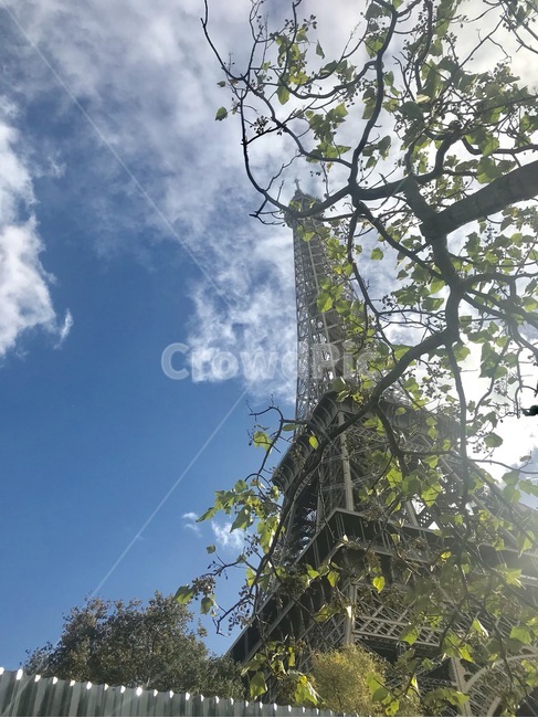 파리,paris,에펠탑,파리에펠탑,프랑스에펠탑,eiffeltower,pariseiffeltower,봄에펠탑