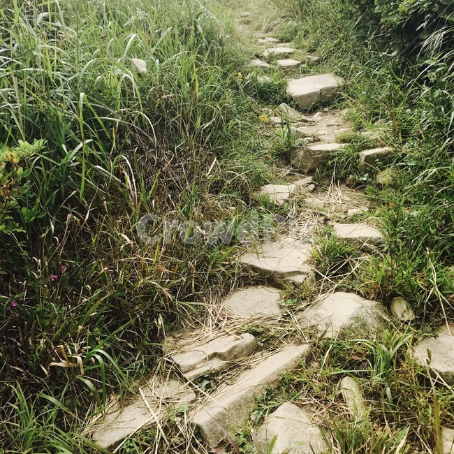 산,무등산,등산길,돌길,산속,자연,풍경,nature,landscape,ground,바닥,gravel,자갈,road,도로,dirt road,흙길,path,통로