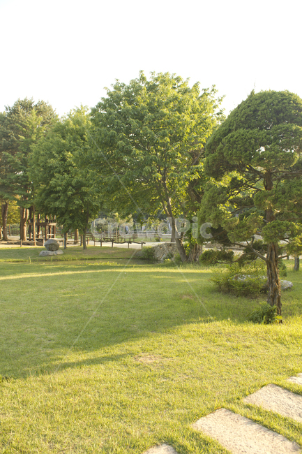 작은길,땅,들,대지,농원,지면,들판,한국,공원,정원,실외,야외,숲,나무,식물,자연,풍경,잔디,잔디밭,녹색,그린,초록색,낮,춘천,남이섬,나미나라,대한민국,풀,수풀,시골,수림,삼림,나무그림자,그림자,돌,스톤,돌길,산책길,산책로