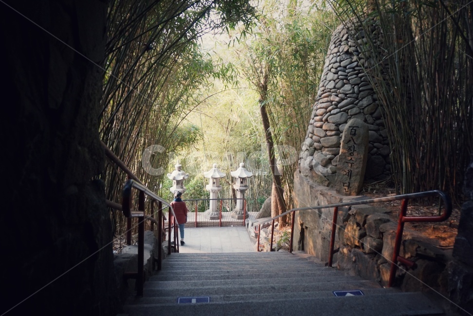 옥외,garden,정자,human,사람