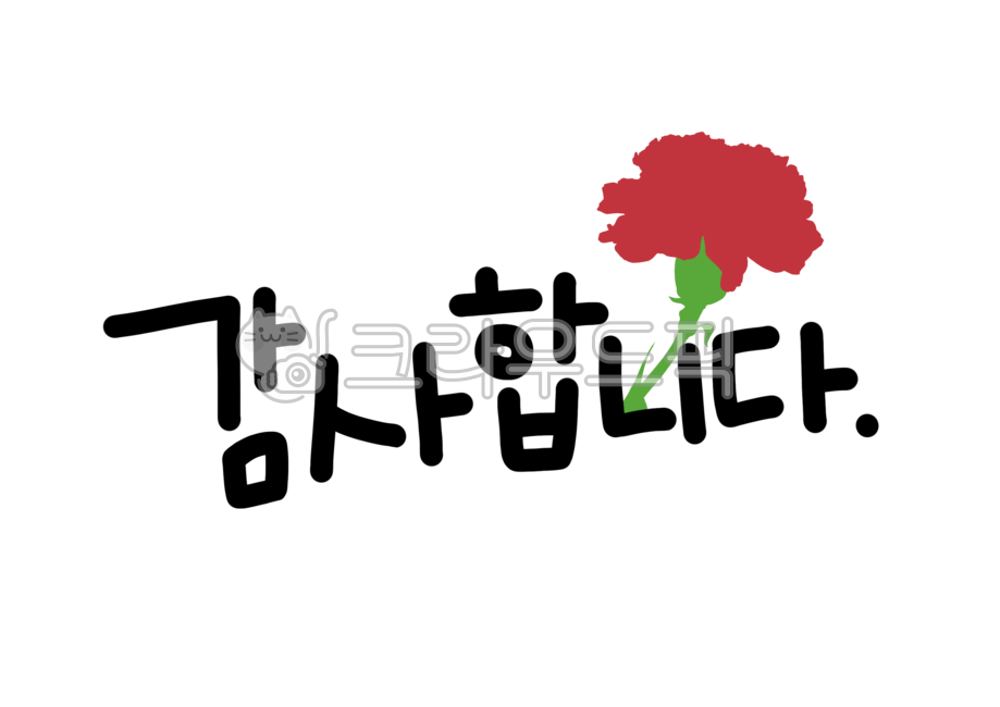 감사합니다,카네이션,감사,어버이날,스승의날