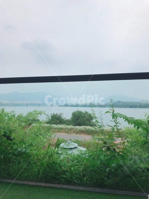 자연,한강,땅,식물,vegetation,nature,outdoors,옥외,자연,풍경,nature,landscape,초목,plant,land,bush,부시