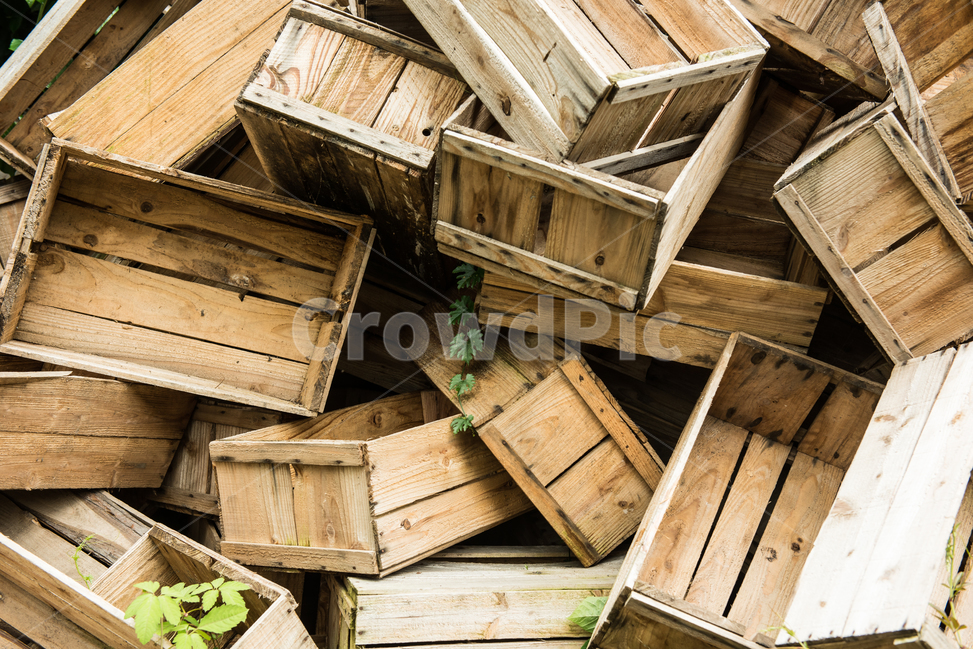 chest,old,tree,mold,To stack up,apple box,desolate,background,complicated,wooden box,quiet,abandoned,fruit box
