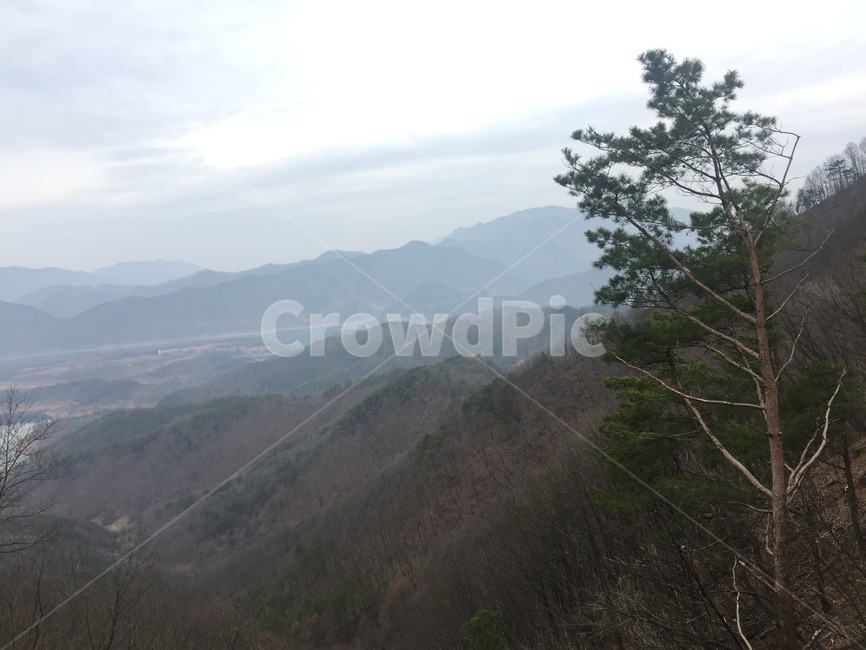 산,하늘,자연,나무,충청도,풀,구름,mountain,sky,nature,tree,grass,cloud