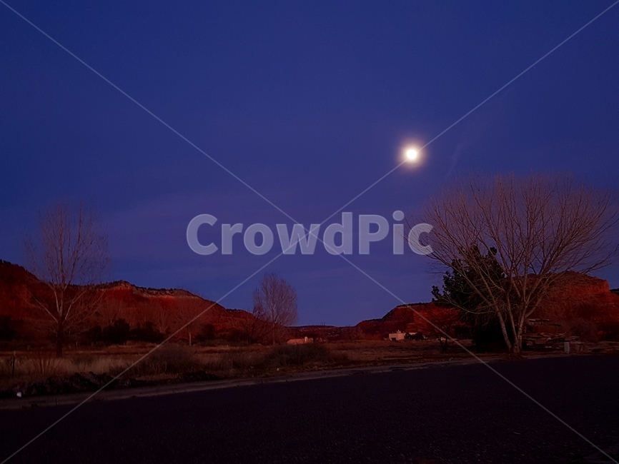 달,풍경,언덕,나무,하늘,산,자연,풍경,nature,landscape,야경,밤,nightscape,night,outdoors,옥외