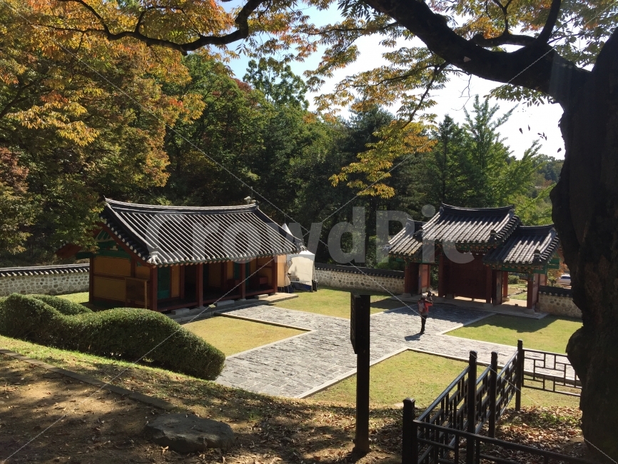 한국적,한국전통,전통적인,정원,한국정원,소풍,야외,수학여행,여행,한국기와,전통가옥,한국양식,기와집,유적지,한국전통,한국문화,korean traditional,korean culture,랜드마크,landmark,tourist attraction,한국랜드마크,한국관광지,한국명소,korea landmark,korea tourist attraction