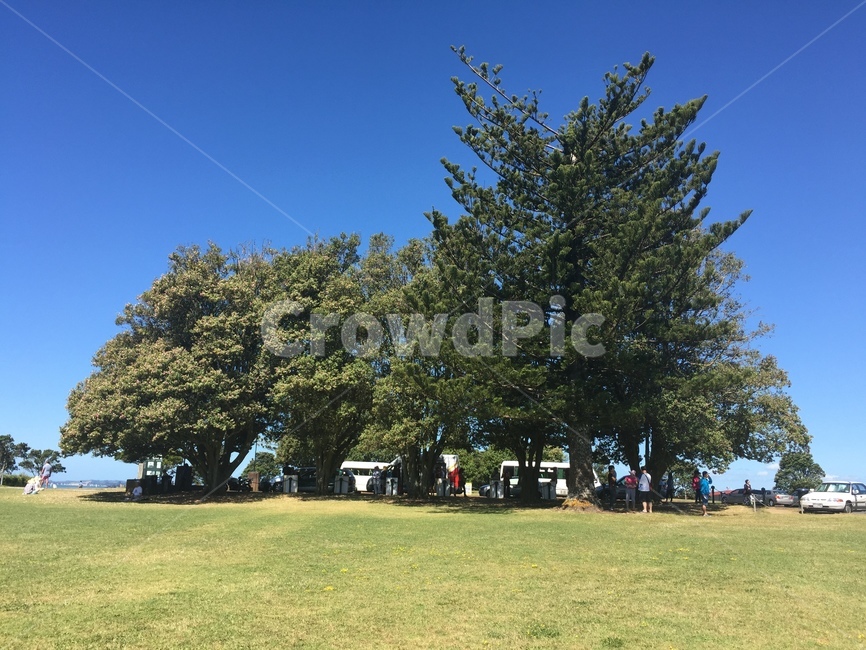 뉴질랜드,자연,산,하늘,날씨,newzealand,mountain,rail,cloud,sky,green,ocean,sea,잔디,식물,plant,grass,옥외,공원,park,나무