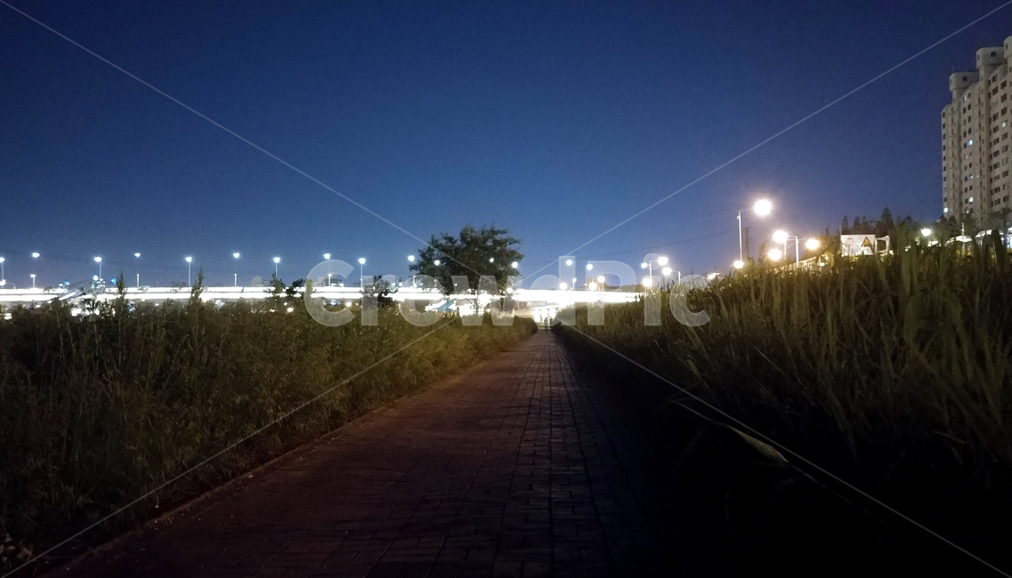 중랑천,야경,가로등불빛,nightview,nightscene
