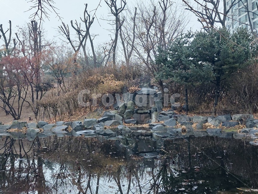 outdoors,옥외,nature,자연,연못,돌,stone
