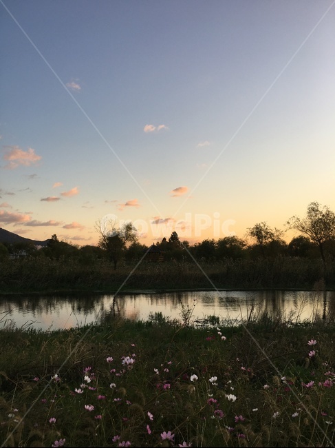물,nature,자연,outdoors,평화
