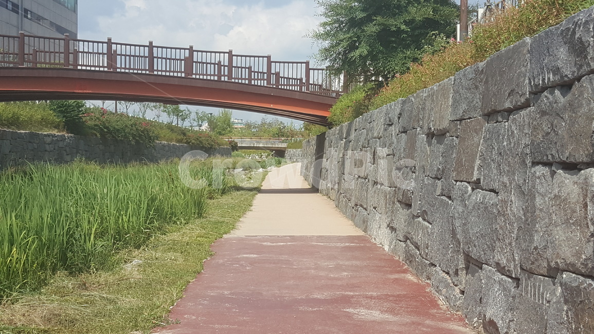 도로,산책,산책길,산책로,다리