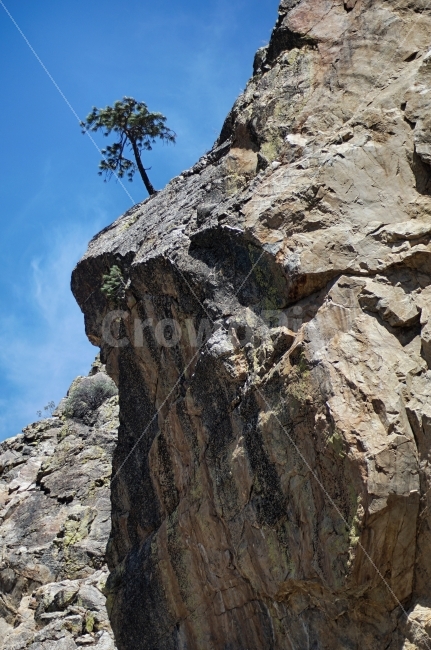 나무,바위,산,여름,하늘,자연,풍경,해외,Rock,Forest,UnitedStates,Nobody,Valle,Tree,자연,풍경,nature,landscape,outdoors,옥외,cliff,낭떠러지