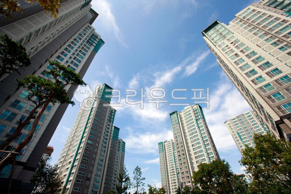아파트,아파트단지,도시,빌딩,건물,고층빌딩,고층건물,올려다보다,고층아파트,카피스페이스,푸른하늘,파란하늘,구름,나무,하늘,부동산,투자,부동산투자,신축,도시생활,분양,주택지,고층,주택,공원,건축,apartments,apartmentcomplexes,cities,buildings,highrisebuildings,houses,lookingup,highriseapartments,capicespaces,blueskies,clouds,trees,realestate,investment,realestateinvestment,new,urbanlife,sale,housing,highrise,park,architecture